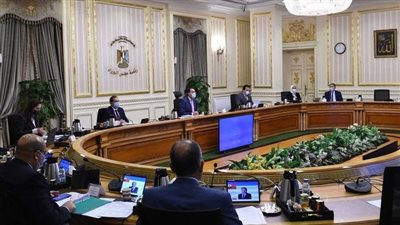 الدروب شيبينج يدخل مصر.. معلومات الوزراء يرصد تطور التجارة الجديدة