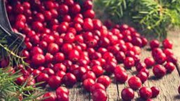 التوت البري