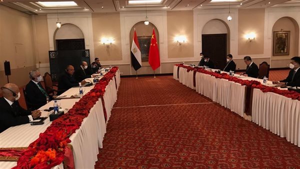 سامح شكري وزير الخارجية