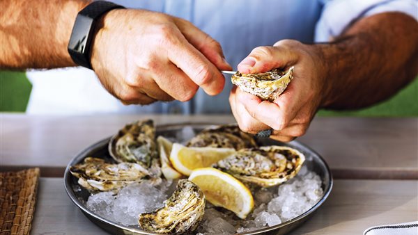 العاملين في مجال