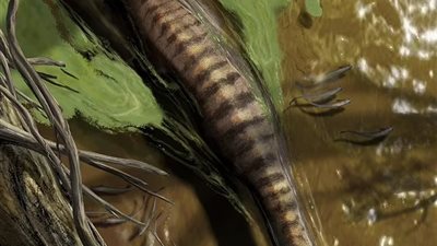 طوله 60 قدم..اكتشاف أكثر حيوان سار على الأرض |دراسة 