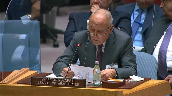 أبو الغيط بمجلس الأمن