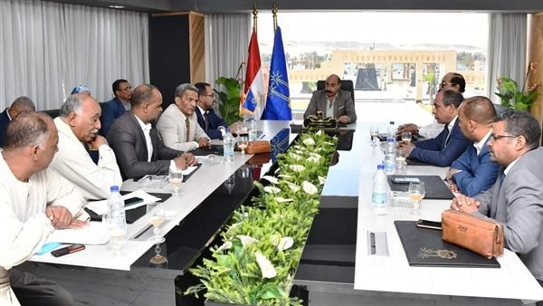 محافظ أسوان 