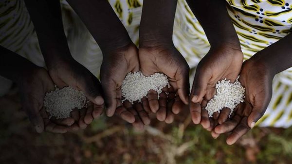 الأمن الغذائي العالمي