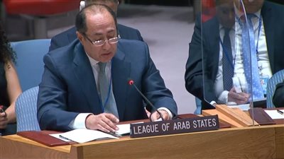 الجامعة العربية بمجلس الأمن: 90٪؜ من أبناء الشعب السوري يعيشون تحت خط الفقر