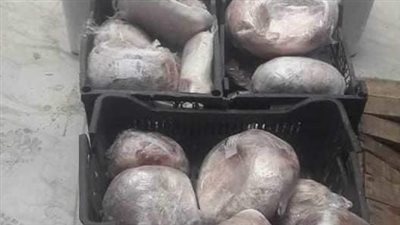 تموين بورسعيد: إحباط بيع كميات من الدقيق المدعم واللحم والأرز.. وتحرير 53 محضرًا 