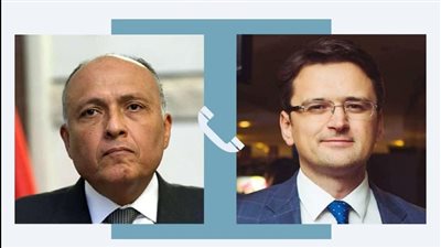 وزير الخارجية يؤكد لنظيره الأوكراني ضرورة العمل نحو حقن الدماء