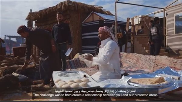 محمية الغابة المتحجرة