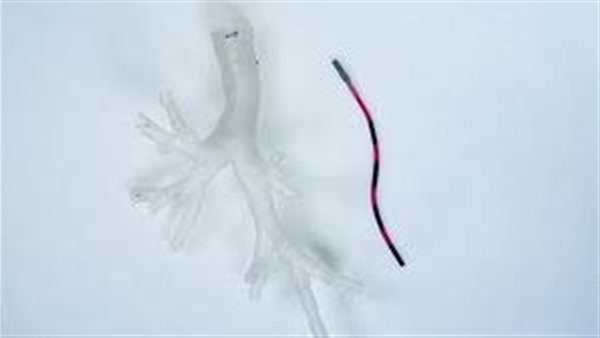 طي البروتين