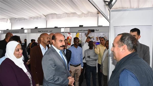 محافظ أسوان