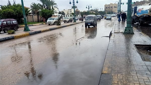 أمطار على الإسكندرية