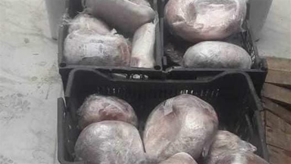 جانب من المضبوطات