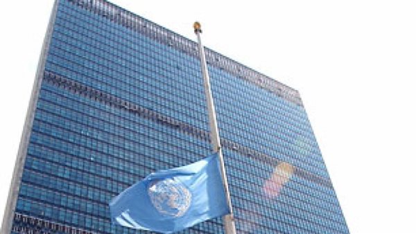 فى اليوم العالمي