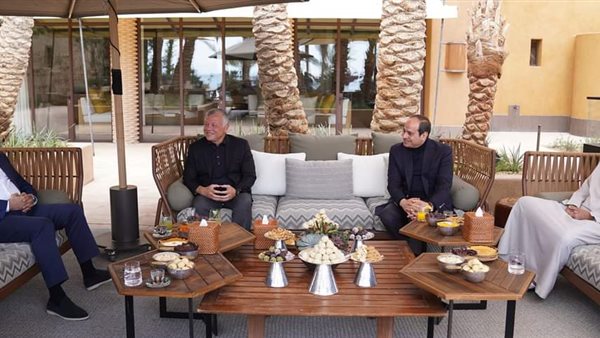 جانب من اللقاء 