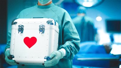 اليوم.. الحكم في دعوى إثبات التبرع بالأعضاء على بطاقة الرقم القومي