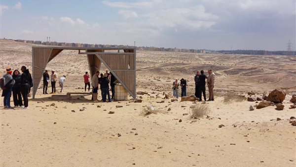 محمية الغابة المتحجرة