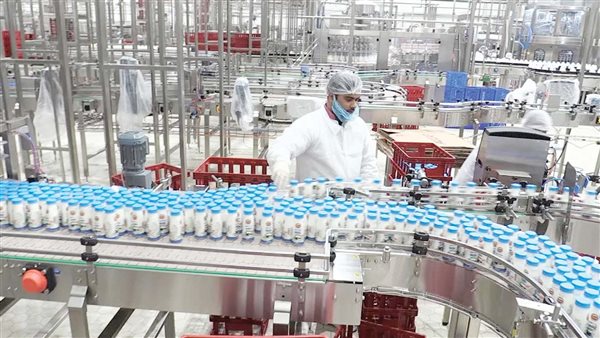 انتاج الالبان 