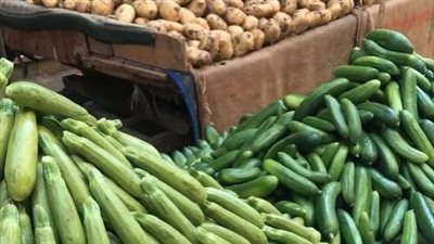 بث مباشر | ارتفاع أسعار الخضروات والطيور والأسماك بالأسواق اليوم