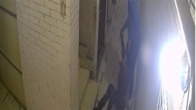 تفاصيل صادمة في خطف سيدة من منزل أسرتها وسحلها على يد طليقها بالهرم |فيديو