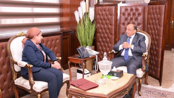 اللواء محمود شعراوي