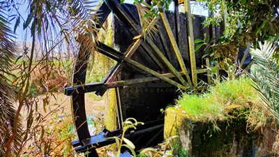 ارتفاع في درجات الحرارة بالفيوم.. والعُظمى تسجل 24 درجة