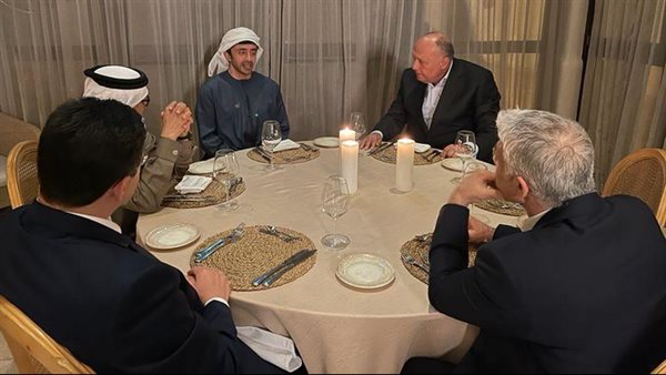 وزير الخارجية ونظرائه