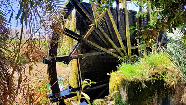 الفيوم.. تصوير إيمان