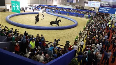 معرض الفرس للجديدة يمنح جائزة البطولة الوطنية لفنون الحدادة العصرية