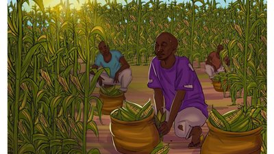 سخرة واستعباد.. السماسرة يوظفون اللاجئين بأعمال شاقة في المصانع والمزارع