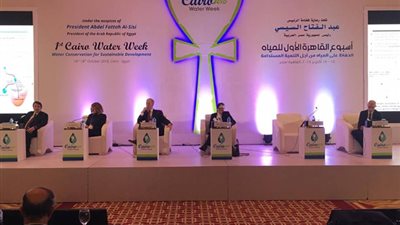 رئيس اللجنة الدولية للري: أكثر من ثلث سكان إفريقيا يعانون نقص المياه في 2030