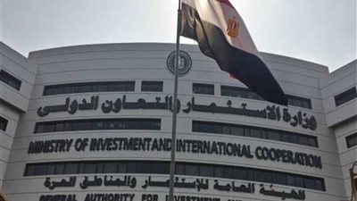 مصر وجورجيا تتفقان على تفعيل عمل اللجنة المشتركة للتعاون الاقتصادي بعد توقفها 9 أعوام (صور)