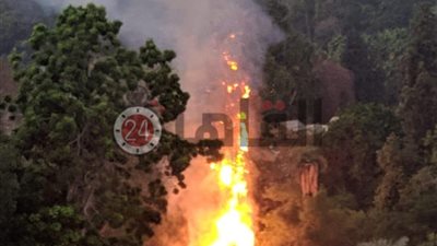 “الزراعة”: إضاءة أحد الكشافات وراء حريق حديقة حيوان الجيزة.. ولا يوجد خسائر (بيان)