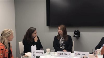 “والي” تستعرض امتيازات المجتمع المدني بقانون الجمعيات الأهلية أمام مسئولين أمريكيين