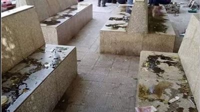 قرار عاجل من رئيس جامعة القاهرة بشأن “واقعة الزيت” بقصر العيني