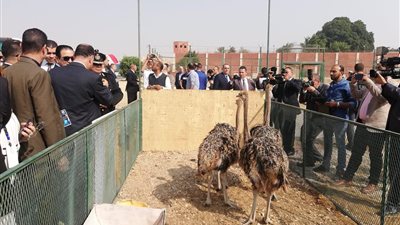 بكري بعد زيارة سجن طرة: عيادات متخصصة وحدائق وملاعب.. هذه هي الصورة الحقيقية (صور)