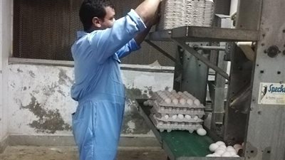 خلال زيارة تفقدية لأعضاء البرلمان.. السجون: ننتج 40 ألف بيضة يوميًا