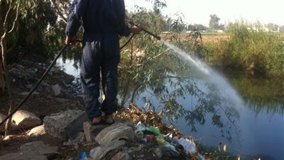 “صحة” الشرقية تكثف حملاتها للقضاء على الذباب والبعوض