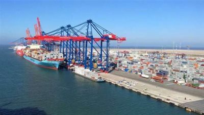 صرف المتأخرات وعودة الإرشاد الزراعي.. توصيات “المصدرين” لفتح أسواق جديدة