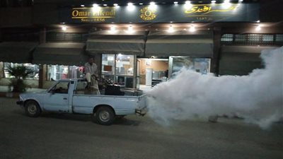 الذباب والبعوض يهاجم قرى قنا.. والبيئة: بسبب تغيير المناخ