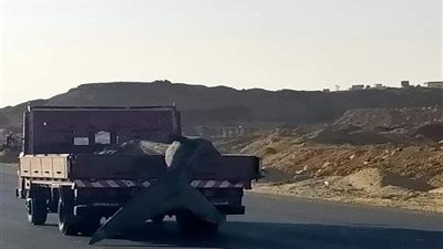 رئيس “الثروة السمكية”: وقف مركب واقعة “القرش بهلول” بخليج السويس والتحقيق مع طاقمه