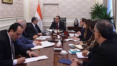 الحكومة توافق على فتح باب إجازات المصريين العاملين بالخارج التابعين لـالكهرباء