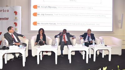 صنع في إفريقيا.. وزارة الصناعة تعقد ورشة حول الشمول المالي المستدام وتسهيل التجارة 