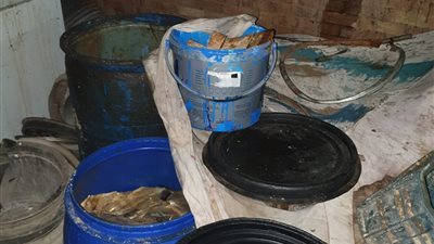 الزراعة”: ضبط أكثر من 99 طن سمك ماكريل غير صالحة للاستهلاك الآدمي بالجيزة