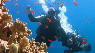 بعد قرار وزيرة السياحة بوقف تراخيص الغوص الجديدة.. تعرف على حجم نشاط مراكز الغوص 