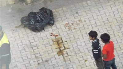 قذفه أطفال بحجارة.. القصة الكاملة لعقر كلب 31 شخصًا في محافظة الإسكندرية