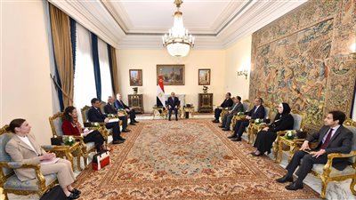 أبرزها الهيدروجين الأخضر.. السيسي يبحث تعزيز الاستثمارات الفرنسية لتنفيذ مشروعات قومية بمصر