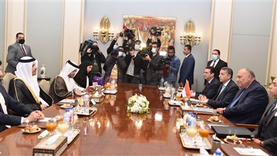 شاهد استقبال وزير الخارجية لنظيره القطري وعقد مباحثات في القاهرة