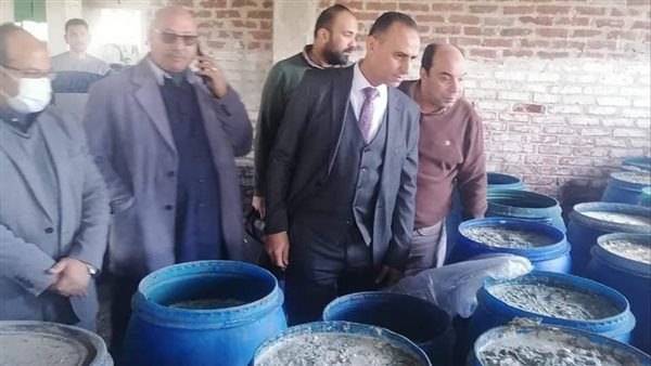 ضبط 50 طن مخللات