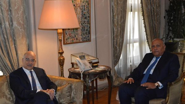 سامح شكري ووزير خارجية