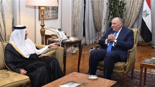 شكري ونظيره القطري